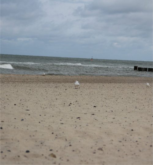 Relaxen